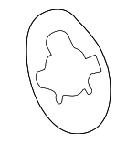 4676801 - Electrical: Repeater Lamp Gasket for Chrysler: PT Cruiser | Dodge: Stratus | Jeep: Liberty Image