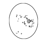 56110T6JA0V2R - : Steering Wheel for Genesis: GV80 Coupe Image