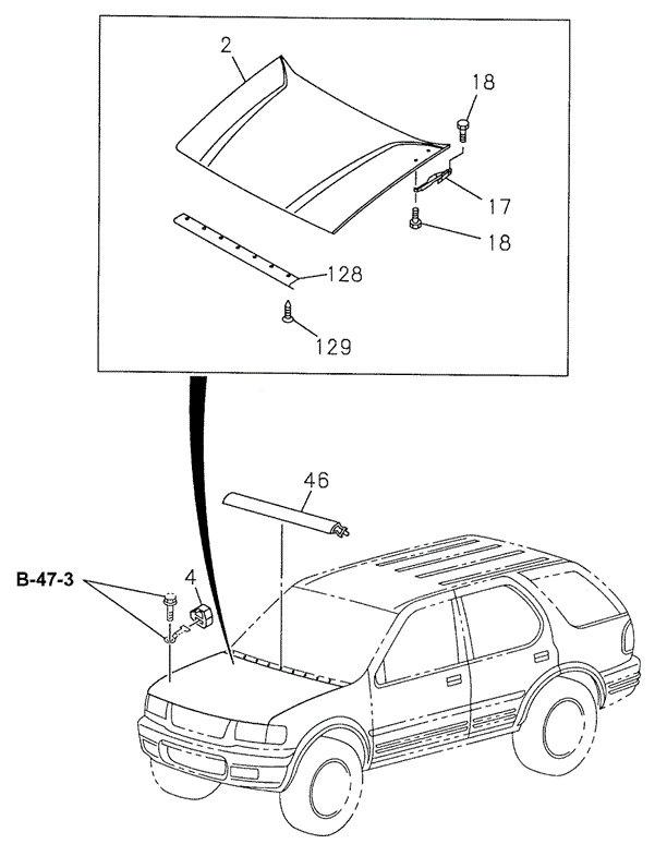 Hood for 2002 Honda Passport #0