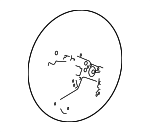 78501T0AA10ZA - : Steering Wheel for Honda: CR-V Image