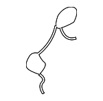 3B0807947 - Body: Cap Retainer for Volkswagen: Passat Image