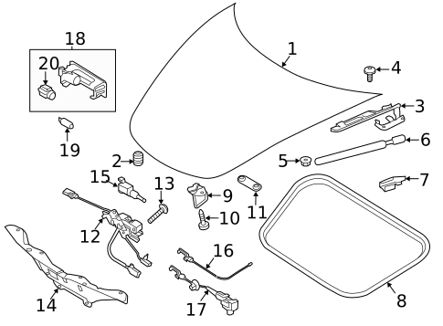 Hood & Components for 2023 Porsche 718 Spyder #1