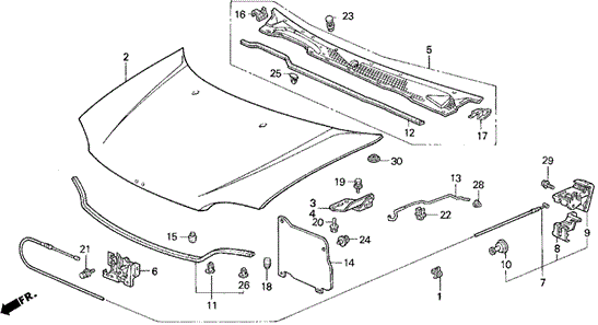 Engine Hood for 1995 Honda Civic #0