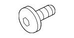 9423101 - Body: License Bracket Screw for GM Image