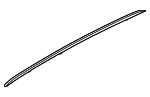 R2TZ5855106E - Body: Roof Molding for Ford Image