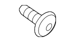 17117587715 - Cooling System: Fan Shroud Screw for BMW: 1 Series M, 128i, 135i, 135is, 328i, 328i xDrive, 328xi, 335i, 335i xDrive, 335is, 335xi, Z4 Image