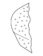 8D0885375D - Body: Pad for Audi Image