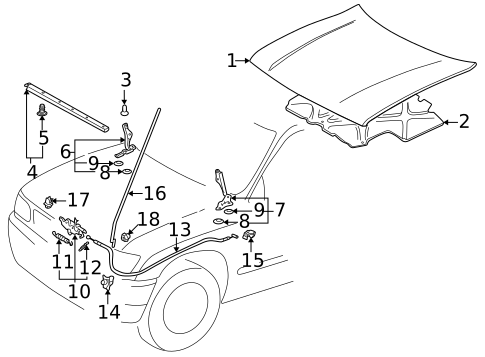 Hood & Components for 1996 Toyota Tacoma #0