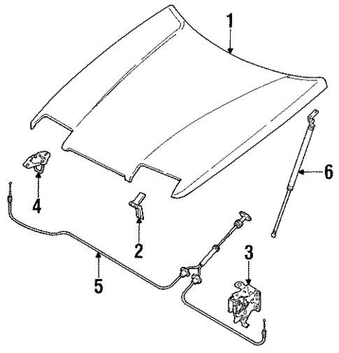 Hood & Components for 1986 Isuzu Impulse #0