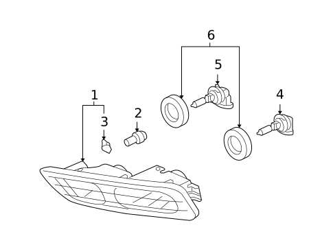 Bulbs - Chassis for 2009 Acura MDX #1