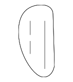 16629888 - Body: Door Lock Striker Plate for GM Image