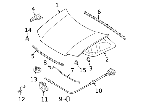 Hood & Components for 2005 Ford Escape #0