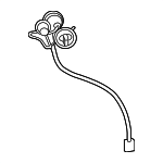 8155553270 - : Socket &amp; Wire for Lexus Image