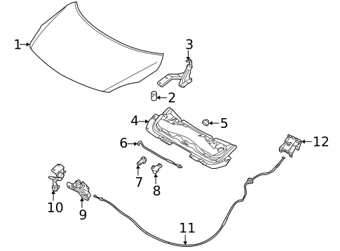 Hood & Components for 2021 Nissan Versa #0