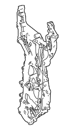 11310F0010 - Engine: Timing Case for Toyota: Avalon, Camry, Crown, Crown Signia, Grand Highlander, Highlander, RAV4, RAV4 Prime, Sienna, Venza Image