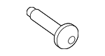 UYP500030 - Body: Upper Trim Screw for Land-Rover Image