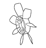 1636150170 - Cooling System: Fan Blade for Toyota: Land Cruiser Image