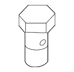 7119907291 - Engine: 2014-2018 BMW - Inlet Tube Bolt for BMW: 540d xDrive, X5 Image