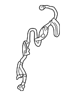 8954242030 - : 1997-2003 Toyota RAV4 - Front Speed Sensor for Toyota: RAV4 Image