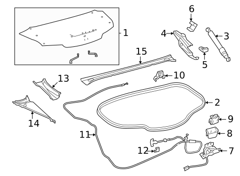 Lid & Components for 2022 Lexus LC500 #1