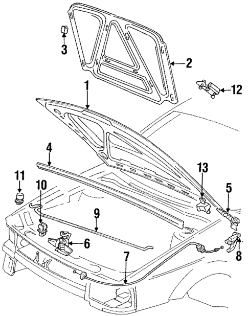 Hood & Components for 1996 Volkswagen Passat #0