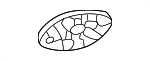 13522677 - Body: Sun-visor Retainer for GM Image