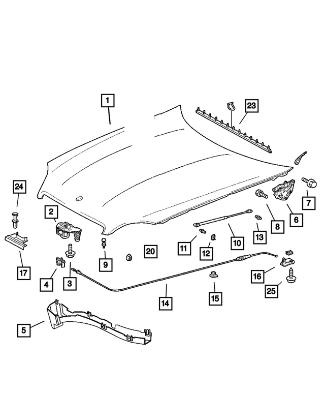 5099943AA - Body Sheet Metal Except Doors: Hood Latch Shield for Mopar Image