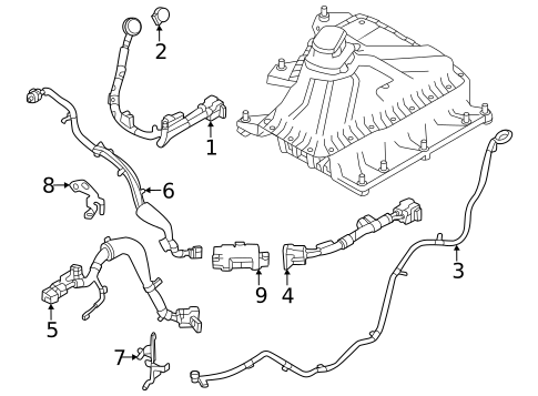 Diagram 7