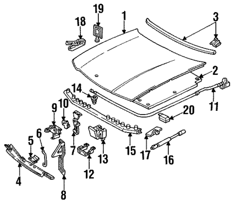 Hood & Components for 1991 Oldsmobile Custom Cruiser #0