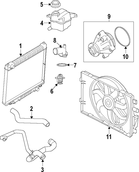 Water Pump for 2010 Ford Mustang #1