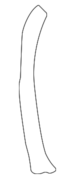 1Y0853844 - Body: Protect Seal for Volkswagen: Beetle Image