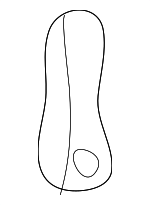 6172734010 - Body: Plate for Toyota: Tundra Image