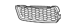 51118050506 - Body: Outer Grille for BMW: M6, M6 Gran Coupe Image