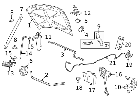 Hood & Components for 2012 Chevrolet Caprice #0