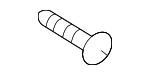 1249205163 - Body: Door Trim Panel Screw for Hyundai Image