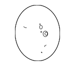 56100N9180NNB - : Steering Wheel for Hyundai: Santa Cruz Image