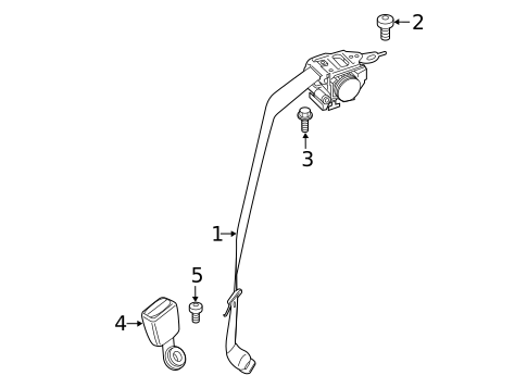 Rear Seat Belts for 2024 BMW M850i xDrive #0