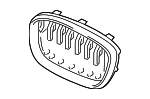 51137464923 - Body: Upper Grille for BMW: X3 Image