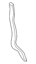 11831P2A000 - : 1996-2000 Honda Rubber Seal (Lower) for Honda: Civic, Civic del Sol Image