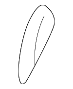 SL001T5AA - Body: Pull Strap for Mopar Image