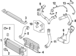 MB3Z8146B - Cooling System: 2022-2024 Ford - Air Guide for Ford: Bronco, Ranger Image
