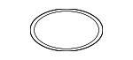 16117303939 - Fuel System: Fuel Pump Seal for BMW Image