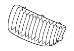 51137201967 - Body: Grille for BMW Image