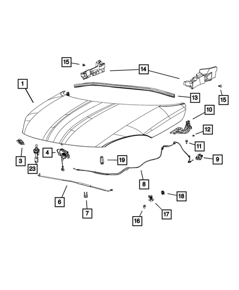 Hood and Hood Release for 2021 Fiat 500X #0