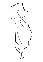 88969743 - Body: Inner Wheelhouse Panel for Pontiac: Vibe Image