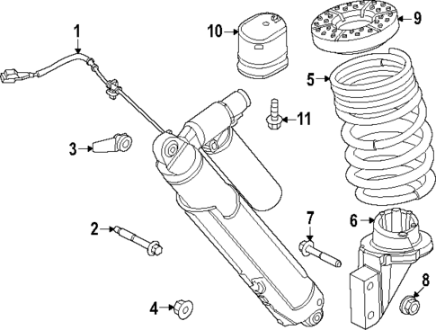 Shocks & Components for 2021 Ford F-150 #0