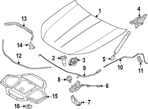 Hood & Components for 2024 BMW i7 #0