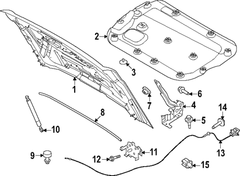 Hood & Components for 2023 Ford Bronco #1