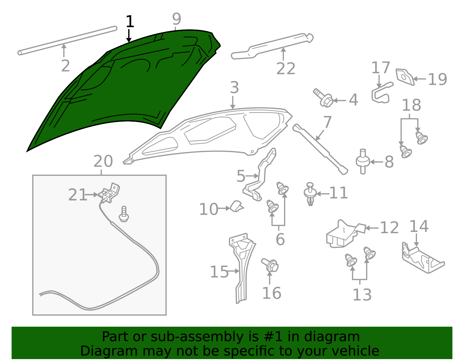 7L1Z-16612-A - Hood Panel 2007-2017 Ford Expedition | Ford Parts