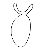 15707634000 - : Front Hose Clip for Honda: CR-V, Passport Image